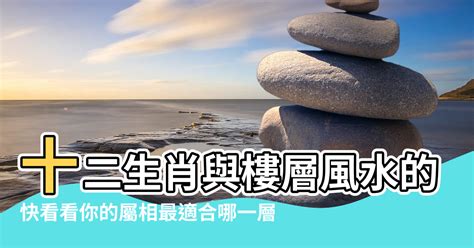 屬蛇樓層|屬蛇最佳住房樓層和風水方位【屬蛇最佳住房樓層和風。